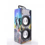 Ibiza Sound Speaker Bluetooth 20W